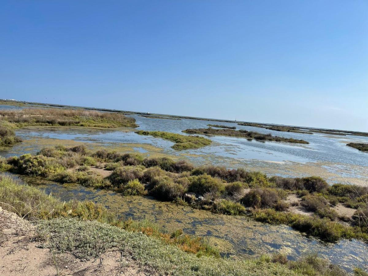 Villa La Calma Del Delta à L'Eucaliptus Extérieur photo